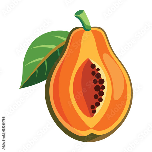 Bright juicy papaya fruit slice with black seeds vector image.eps
