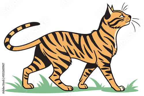 Fierce Elegance: Toyger Cat Outline