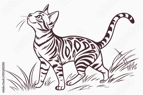 Toyger Majesty: Bold Line Art Portrait