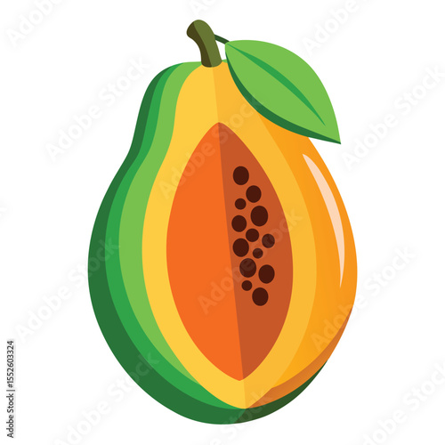 Tropical papaya with seeds isolated on white background vector art.eps