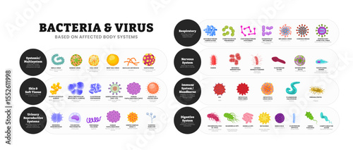 Virus and bacteria based on affected body system set collection poster for healthcare education, Pathogenic bacteria, viruses and microbes, Disease germs, bacterium type, microorganism infection