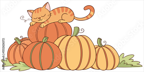 Sleeping tabby cat on a stack of pumpkins, autumn harvest season