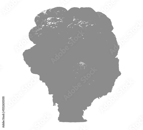 Large grey mushroom cloud explosion with dense smoke .