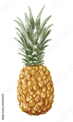 Watercolor pineapple fruit hand painted