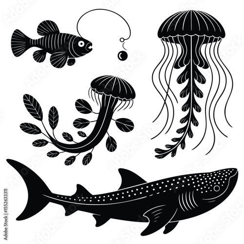 Ocean Life: Black & White Marine Animal Illustrations