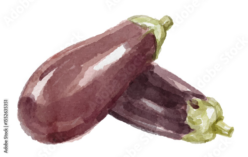 Hand painted watercolor eggplant isolated