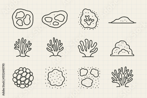 Hand-drawn microorganisms and seaweed icons on grid paper