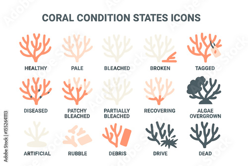 Coral conditions: healthy, bleached, diseased, and more visual icons set