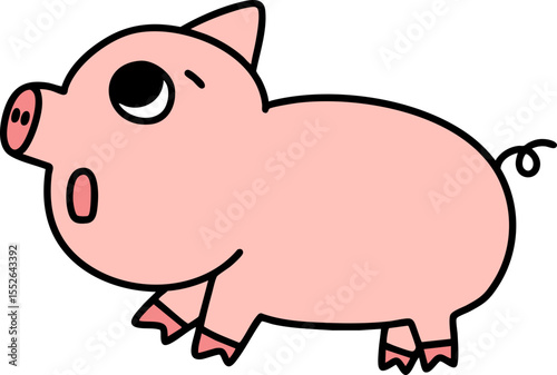 pig