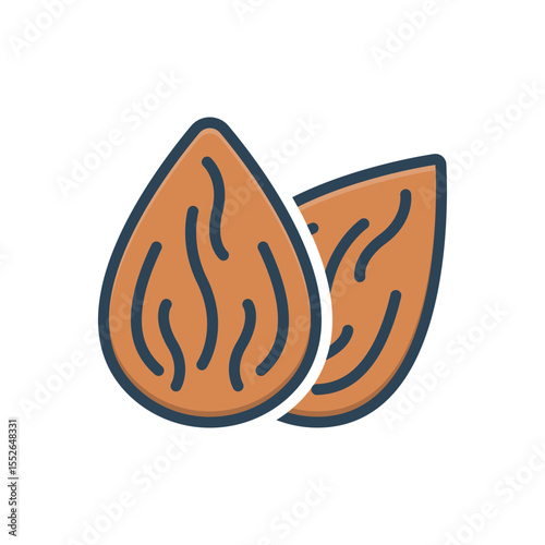 Color illustration icon for almond