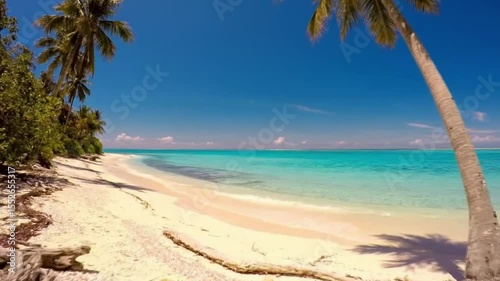 Tropical paradise beach with palm trees, turquoise ocean, and white sand