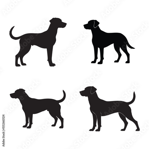 Four standing black dog silhouettes in profile on white background, ideal for pet-themed design, prints, and decoration