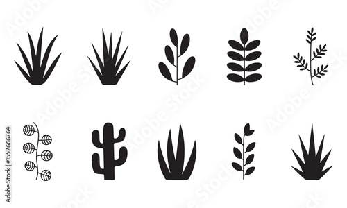 Set of Plant and Foliage Silhouette Icons Featuring Cactus, Succulent, Leaves, and Decorative Botanical Elements in Minimalist Black Design
