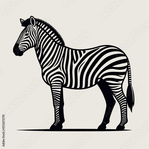 Elegant Zebra Line Art Vector Illustration