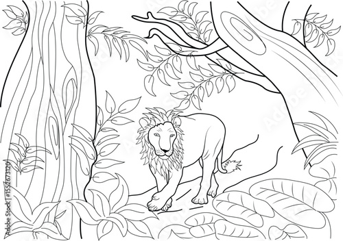 Detailed line drawing illustration of an adult male lion with a large mane walking through a lush tropical jungle environment, surrounded by trees and plants, perfect for wildlife coloring.