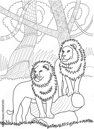 Black and white illustration of two male lions in a natural setting, suitable for coloring, animal themes, or design.