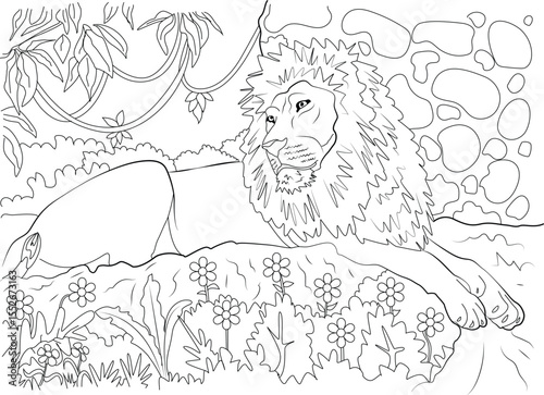 Majestic lion relaxes in nature - detailed line art illustration for coloring books, educational projects, or design.