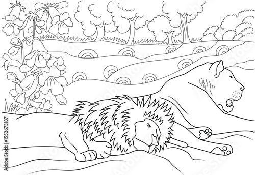 Captivating black and white line drawing of a male lion sleeping and a lioness resting in a serene landscape, ideal for coloring pages and educational content.
