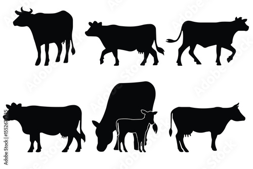 Cow Silhouettes in Various Poses, Including Grazing on Meadow. isolated vector on white background.