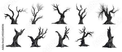 Ten gnarled, spooky trees stand starkly against a transparent background, ideal for Halloween designs or gothic fantasy landscapes.
