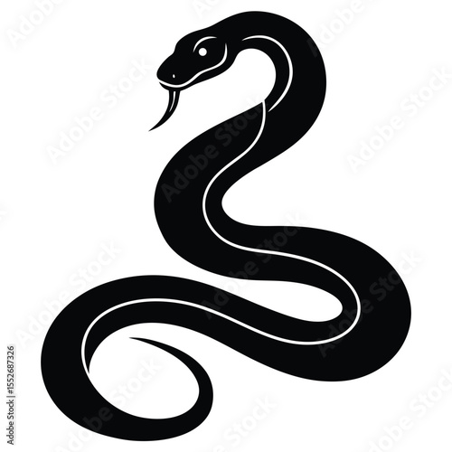 black and white snake