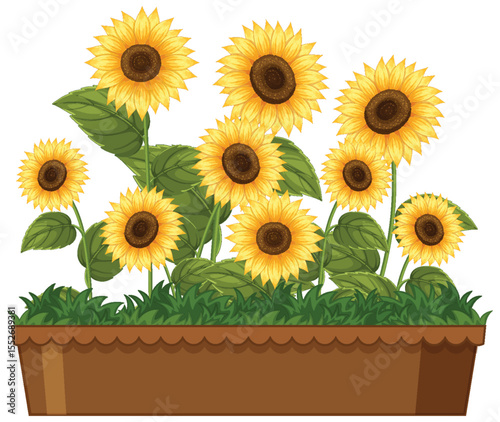 Vibrant Sunflowers in a Rustic Planter