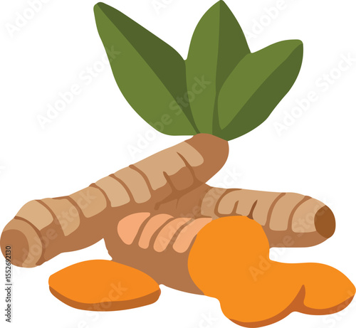 Turmeric (Curcuma longa) vector illustration with leaves and slices. Flat design icon of a fresh root, a healthy spice and herbal ingredient. Isolated on white background