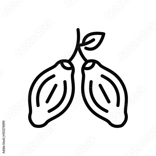 Black line icon for cacao beans