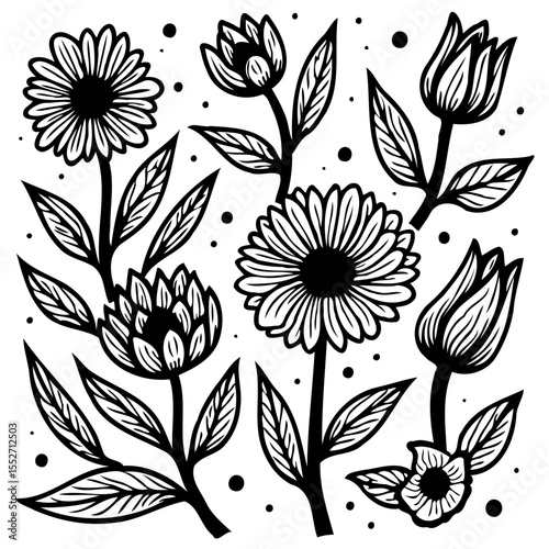 Elegant floral illustration of flowers and plants in black and white drawing style