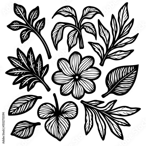 Botanical Line Art Collection: A Compilation of Various Leaves and Flowers