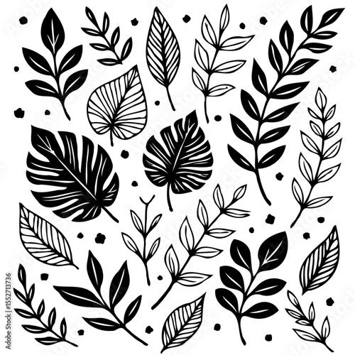 Botanical Variety: A Collection of Black and White Leaf Illustrations and Decorative Elements
