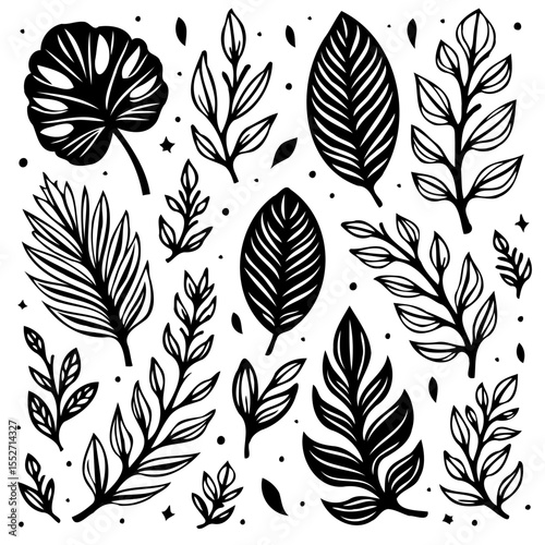 Monochrome botanical illustration featuring a variety of stylized leaves and branches