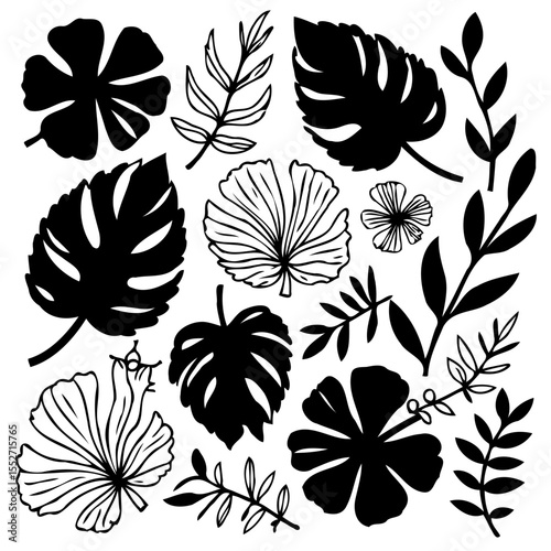 Silhouette botanical leaves collection, tropical floral elements vector illustration