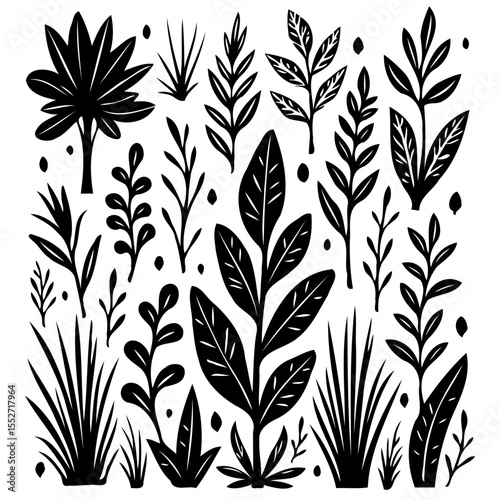 Elegant Black and White Botanical Illustration Featuring Various Plant Species