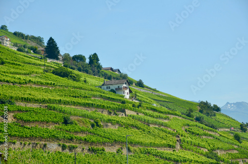 Coolcation from Montreux to Ascona