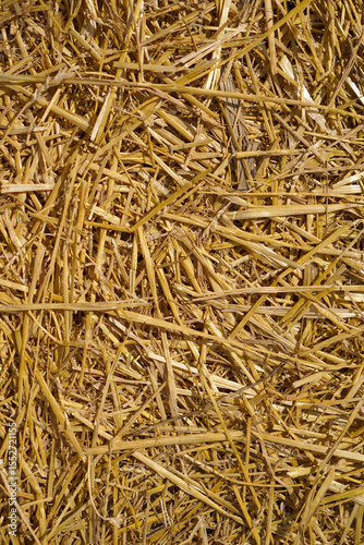 Close up of dried golden straw or hay creating a textured background, concept of agriculture, rural life, animal feed