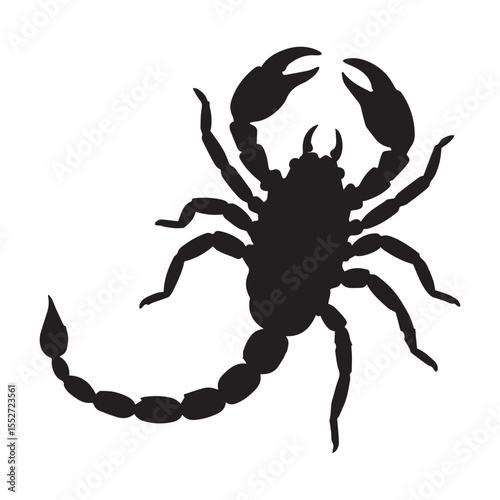 A scorpion  Silhouette White Background. 