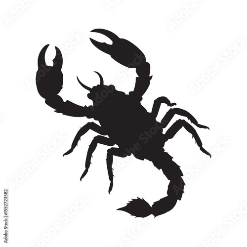 A scorpion  Silhouette White Background. 