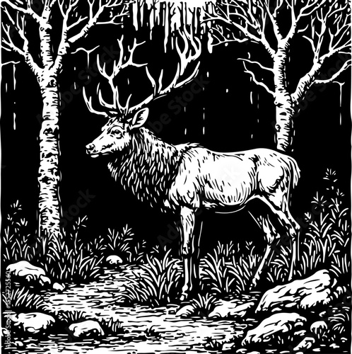 Deer Family and Stag in Forest Frame vector 