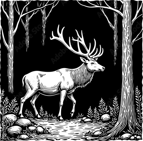 Deer Family and Stag in Forest Frame vector 