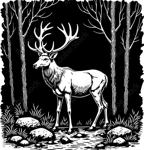 Deer Family and Stag in Forest Frame vector 