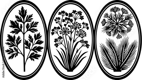Three oval frames containing stylized black plants with leaves and flowers on a white background design