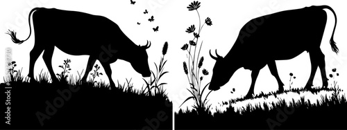 Cow Grazing in a Pasture with Grass and Flowers Silhouette