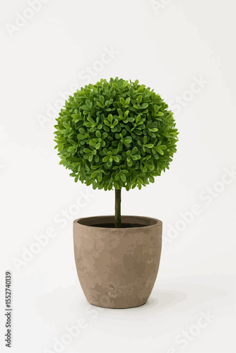 
Tree pot on white background and copyspace. Houseplant for decorations