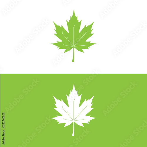 Green maple leaf on white and green backgrounds vector