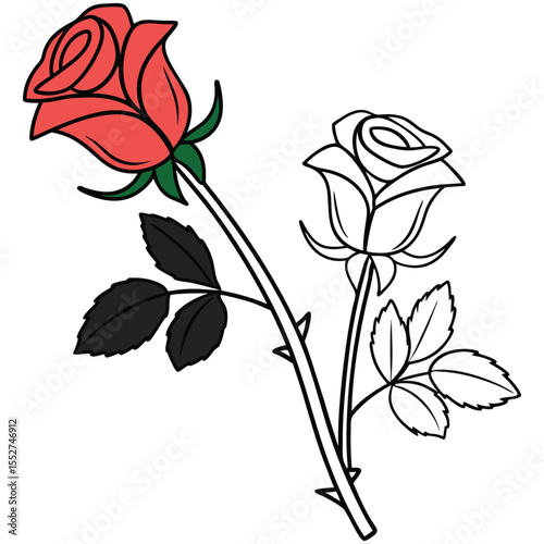 Red and white line art rose, dual floral design for artistic or tattoo use