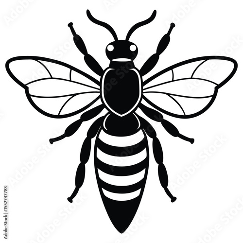 Black Silhouette Of A Honey Bee Insect On White