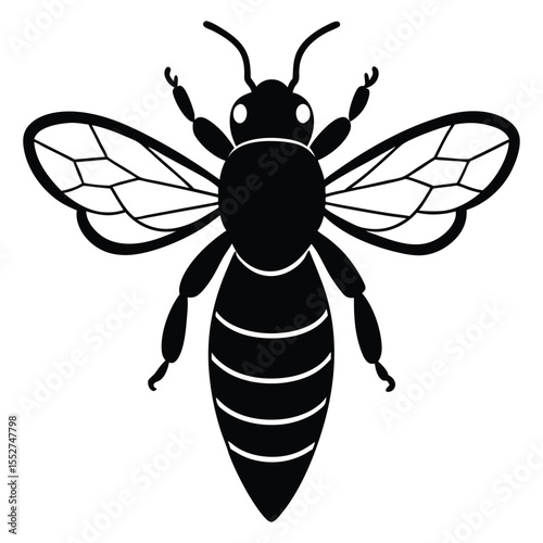 Black Silhouette Of A Honey Bee Insect On White