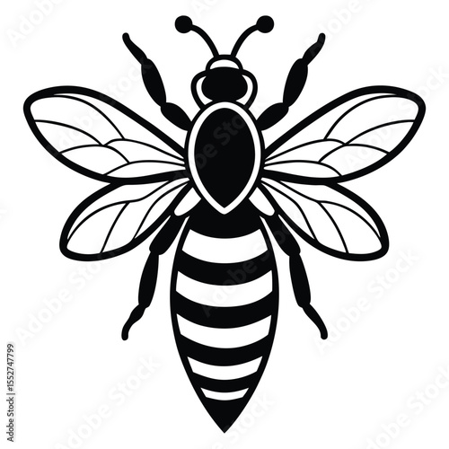 Black Silhouette Of A Honey Bee Insect On White