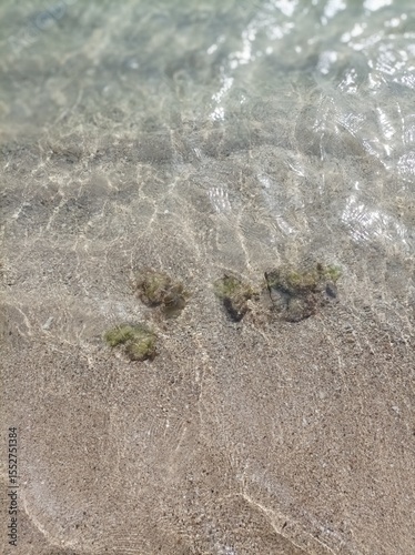 wave on the beach